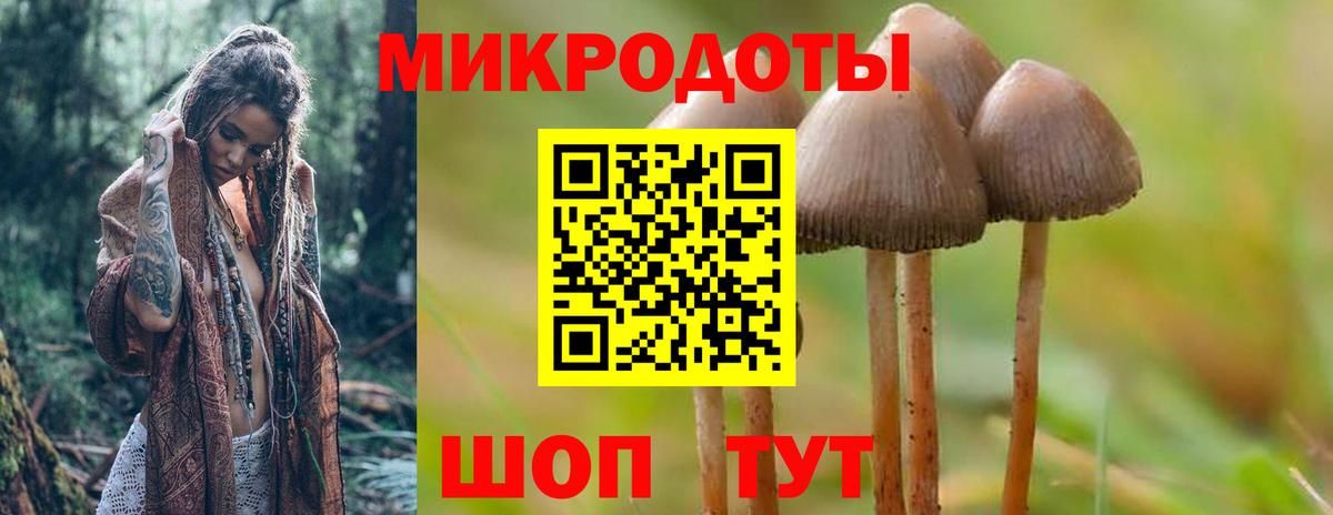 Галлюциногенные грибы Cubensis  купить наркоту  Новоалександровск  Вход с VPN  Галлюциногенные грибы GOLDEN TEACHER 